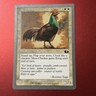Magic The Gathering Unglued Mesa Chicken #9/94 MTG TCG CCG