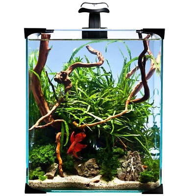 (94,10 /Stk.) diversa Aquarium Nano LED Set 25x25x30cm inkl. Technik /