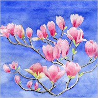 Ppd - Servietten - Magnolia - 33 X 33 Cm - 20 Stk