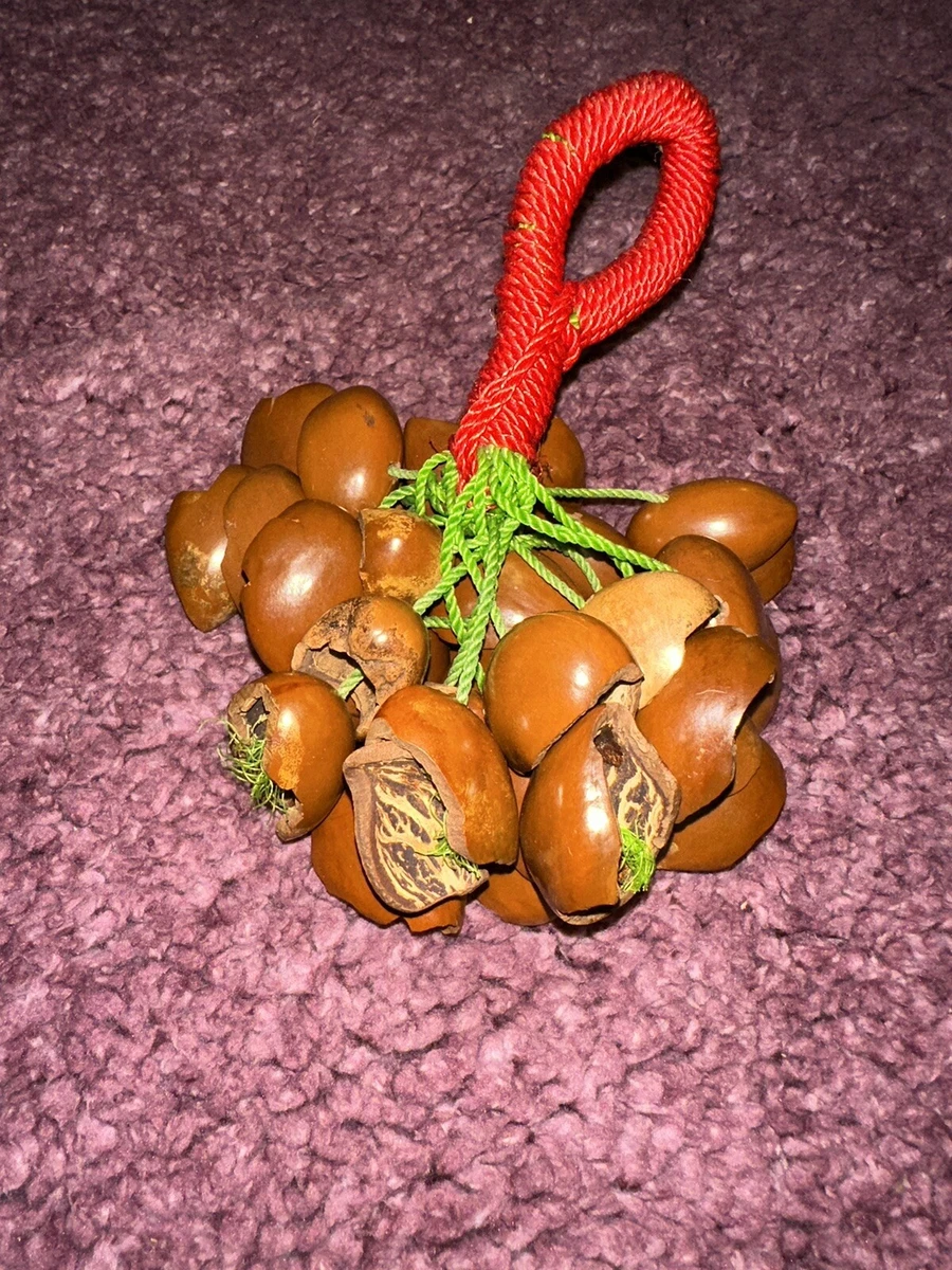 Seed shaker cheap instrument