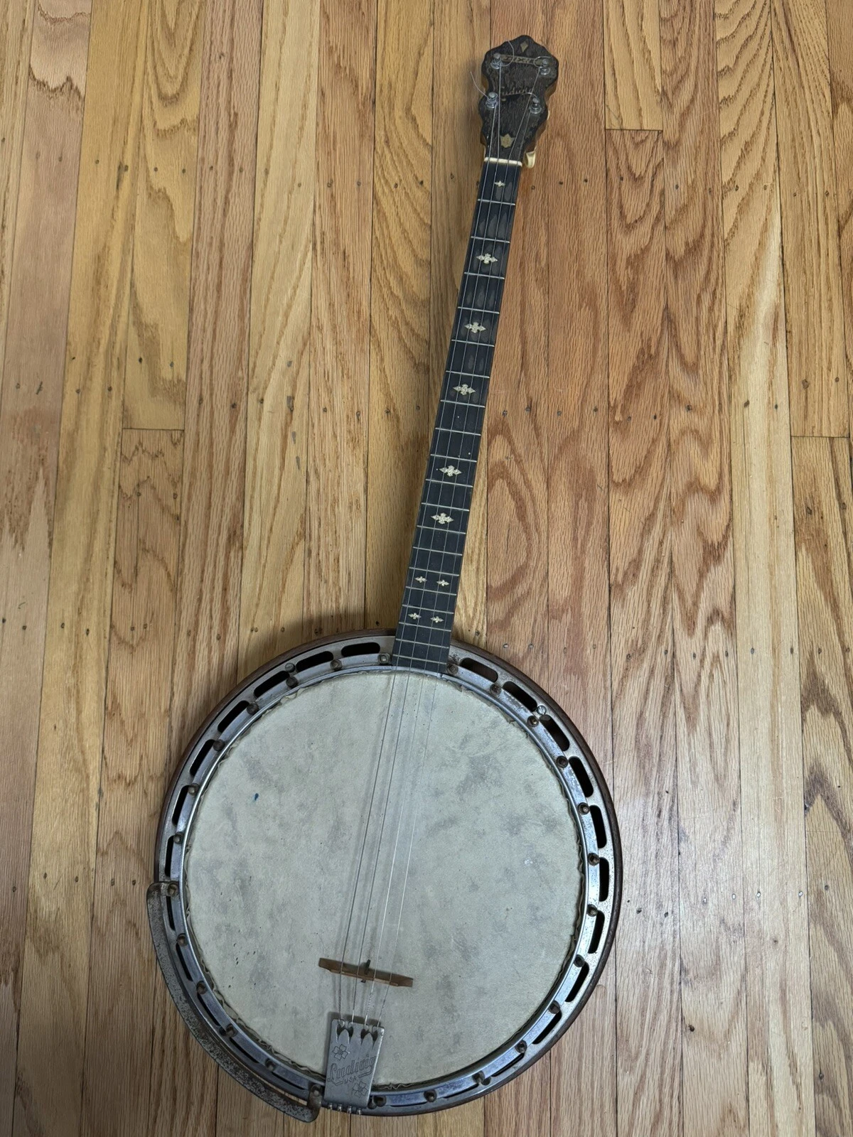 Picture 1 of 24