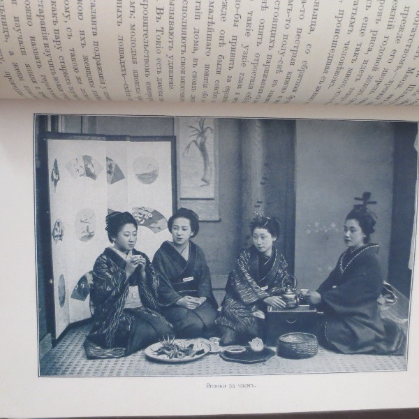 Picture 6 of 12