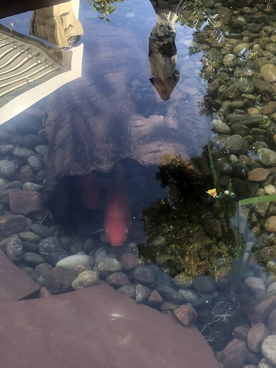 Rifugio Per Pesci Koi A Forma Di Tronco | Protezione Da Aironi E Predatori - Marrone - Foto 6