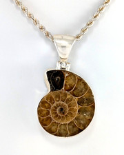 Sterling Silver Ammonite Fossil Pendant with 18"  Rope Chain
