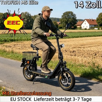  TWOFISH 14'' Elektroroller Mit Sitz,Mit Straßenzulassung&EEC 48V Elektro-Roller