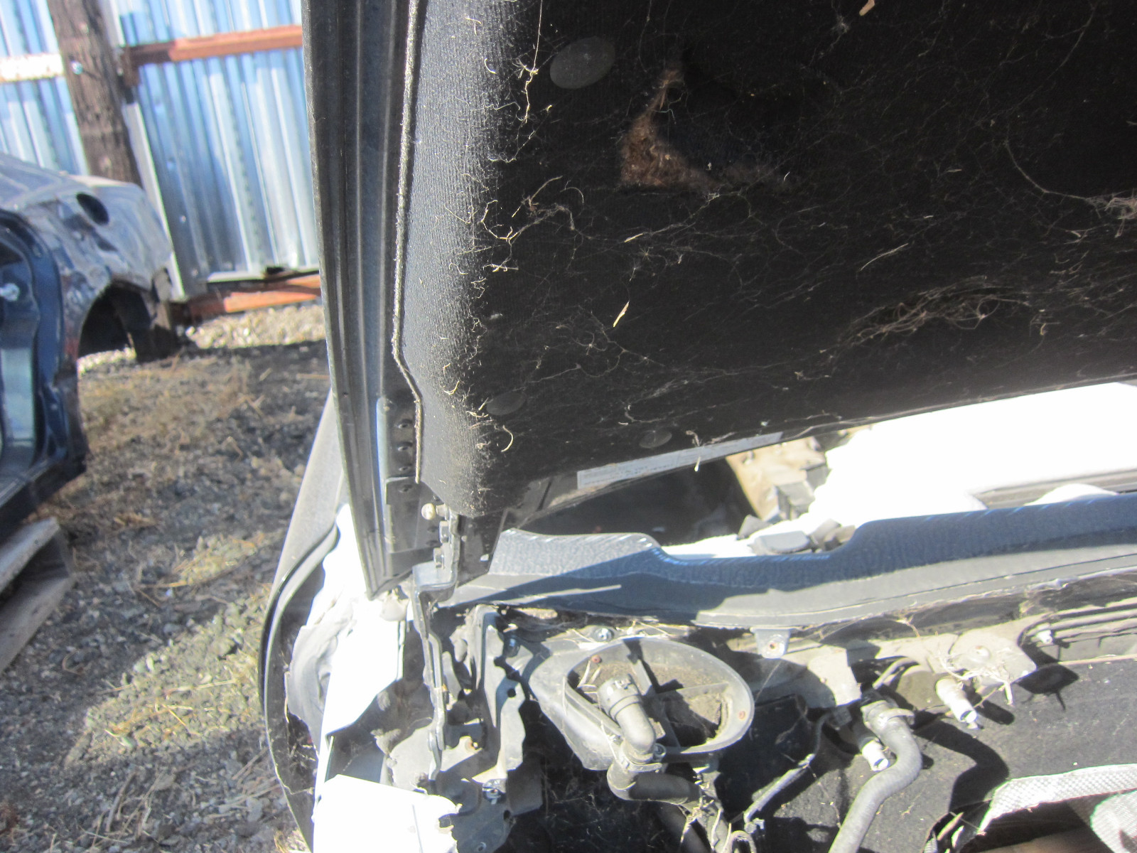 Maserati Quattroporte - Front Bonnet - Hood / Black - P/N 67213600