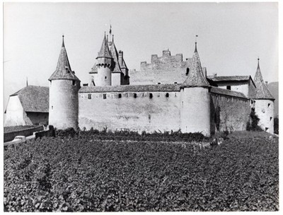 1973 Wine and Salt Museum Chateau d'Aigle Lake Leman Switzerland Orig News Photo