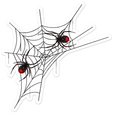 Spider Web - Vinyl Decal Sticker - Car Window Laptop - ebn12614