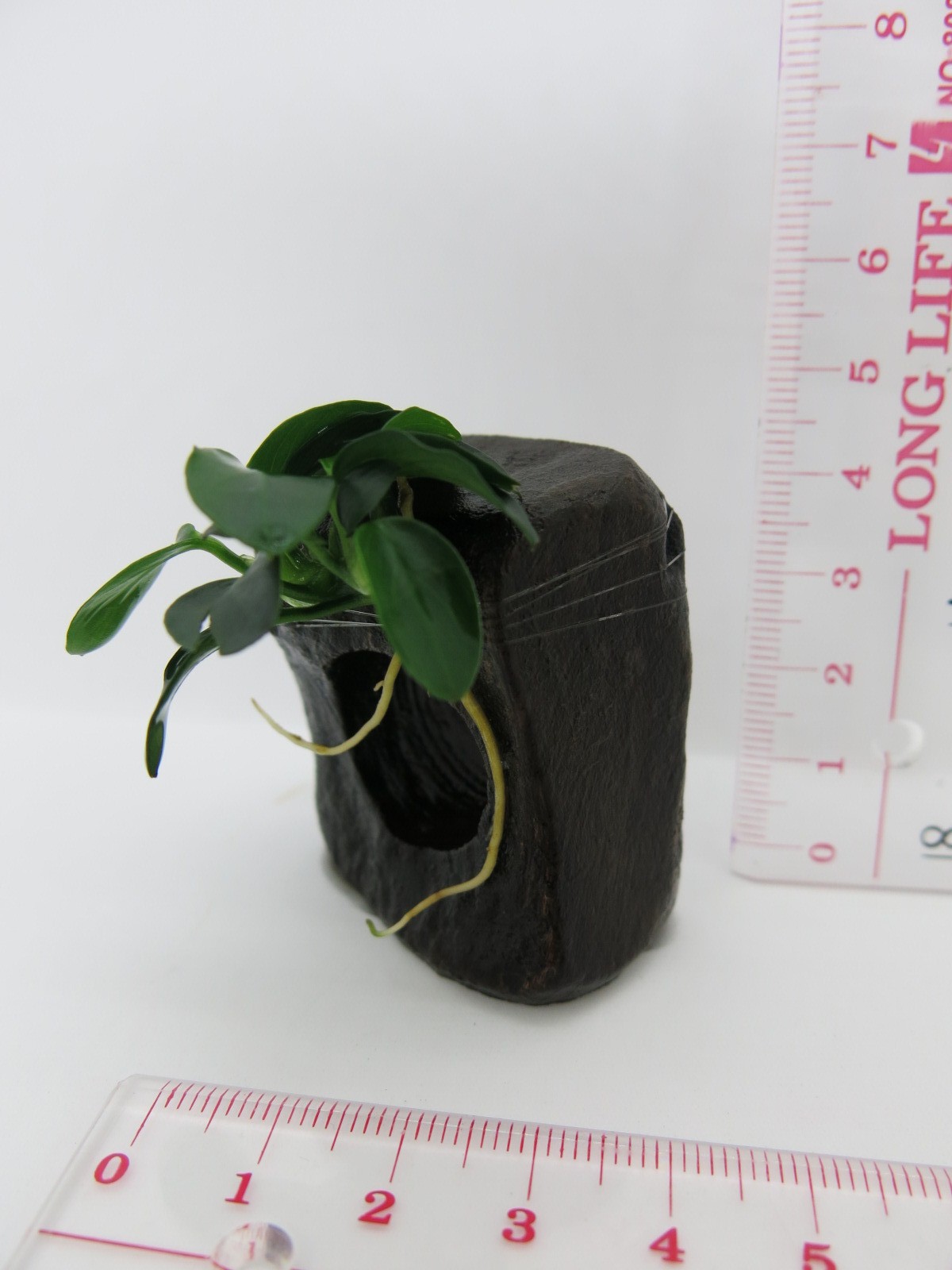 Picture 10 of 52