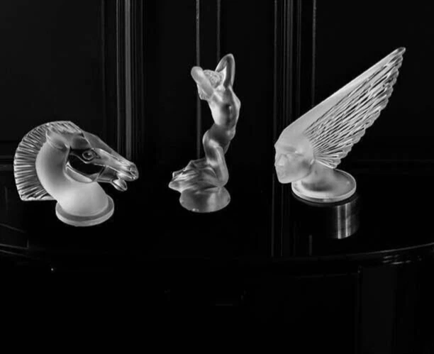 LALIQUE CRYSTAL testa di cavallo LONGCHAMP luce MASCOTTE AUTO cappuccio ornamento fermacarte