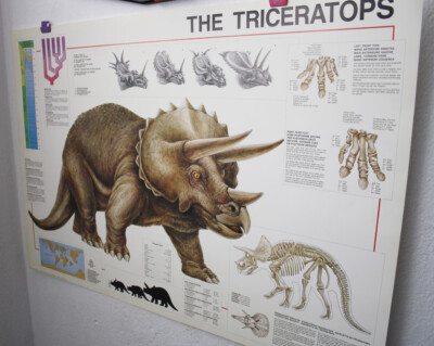 AUTHENTIC VINTAGE 1993 TRICERATOPS DINOSAUR 68X99cm HOBBY POSTER