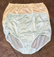 Bundle of 2 Underscore PASTELS Medium All Nylon SATIN Full Brief Panties VTG