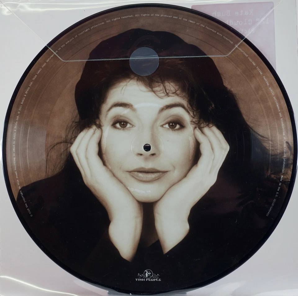 12": Kate Bush - Cloudbusting, Limited Picture Vinyl, NEU & OVP  - Bild 2 von 2
