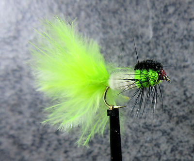 Montana Nymph Cat's Whisker Weighted 413