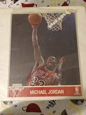 Michael Jordan 1990-91 NBA Hoops 8x10 Action Photo Card Picture Original.