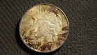 1924 Peace Silver Dollar From A Local Estate