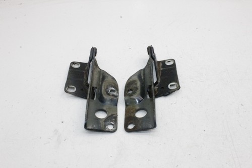 NISSAN PATHFINDER III R51 2.5 dCi 4WD Motorhaubenscharnier-Kit 2.50 29059298