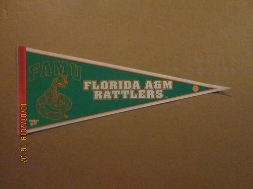NCAA FAMU Florida A&M Rattlers Circa 2000's Team Logo College Pennant