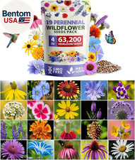 Wildflower Seeds Bulk 4 Oz 63,200+ Seeds 19 Varieties Non-Gmo Perennial Mix, But 152.00 per gallon