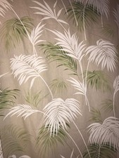 5 metri di SAVANNAH SALICE di