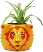 Gadget -D- Harry Potter: Half Moon Bay - Gryffindor (Plant Pot / Vaso Da Fiori)