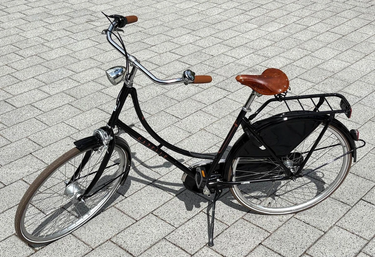 fischer fahrrad e-bike EM 1862.1 Refurbished Finance Art Product:Canvas Print SpaceAid Aufbewahrungstasche Extra große