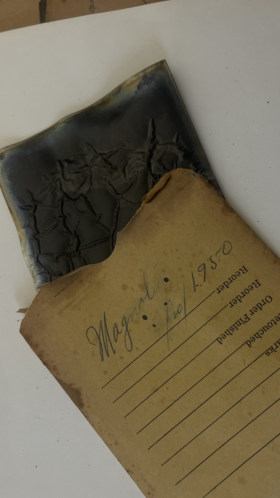 VTG Lot 4x5” Large Format 150+ B&W Photo Negatives Lot FLOWERS 1950s Damaged COA