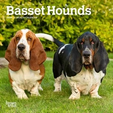 Basset Hounds | 2025 7 x 14 Inch Monthly Mini Wall Calendar | BrownTrout | A...