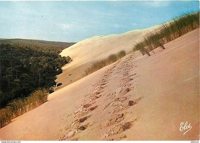 Postcard - 33 - Dune du Pyla - La Foret on the left - Bassin d'Arcachon -