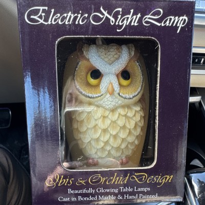 Ibis & Orchid Design Hoot Owl Electric Night Light Hand Painted Multicolor