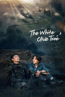 DVD Chinese Drama The White Olive Tree 2025 English Subtitles All Region