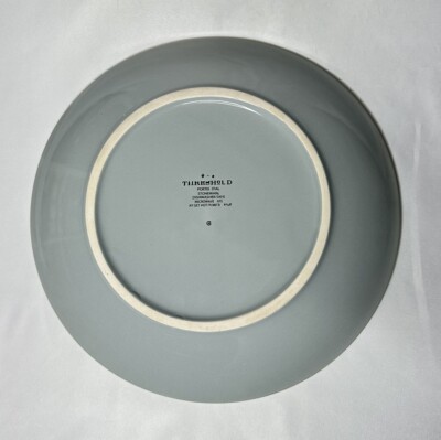 Threshold by Target Portel Teal Crackled Stoneware Dinner Plate 10