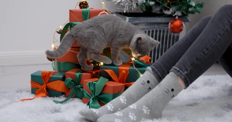 Women's Cute Cat Socks - Cat Gifts for Women - Image 4 of 4