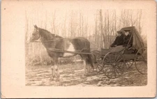 RPPC Horse Drawn Carriage Buggy Clara Berg Velox c1910 photo postcard GP2