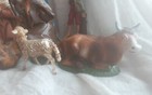 Bild 5 von 12