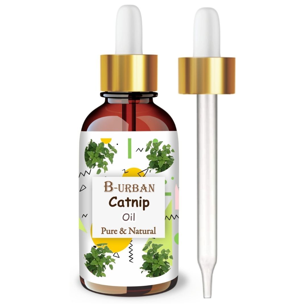 Catnip (Nepeta Cataria) 100% Rein & Natürlich Ätherisches Öl - {15ml-5000ml}