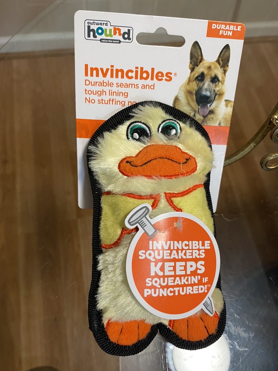 what the duck付属品 innovation unviversity what the duck付属品 innovation unviversity what the duck付属