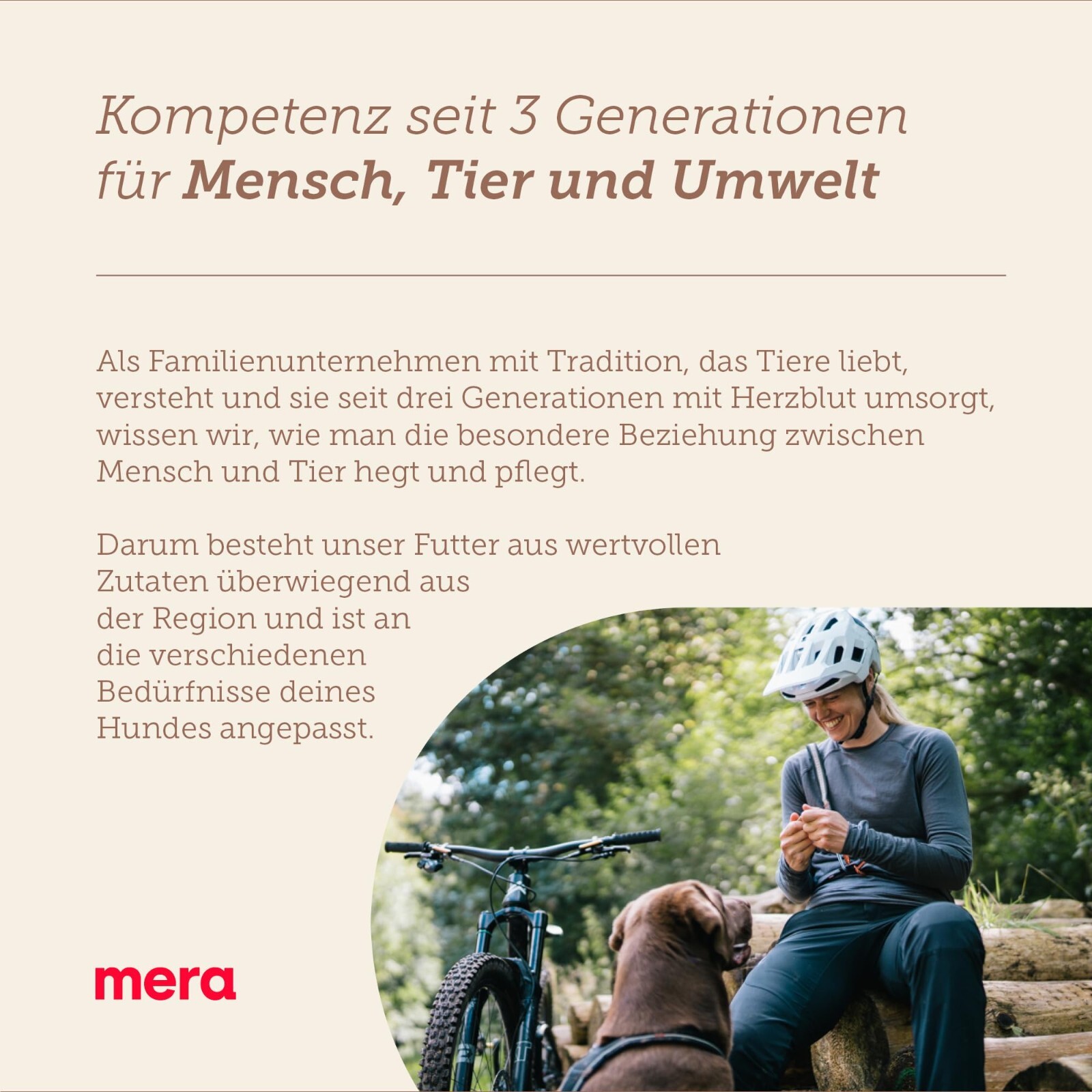 Bild 7 von 7