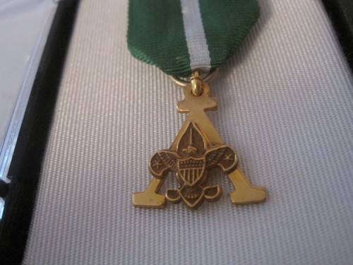 Boy Scouts of America BSA Adult Leader Training Ribbon Pin 1/20 10K Gold w/Case - Picture 6 of 7