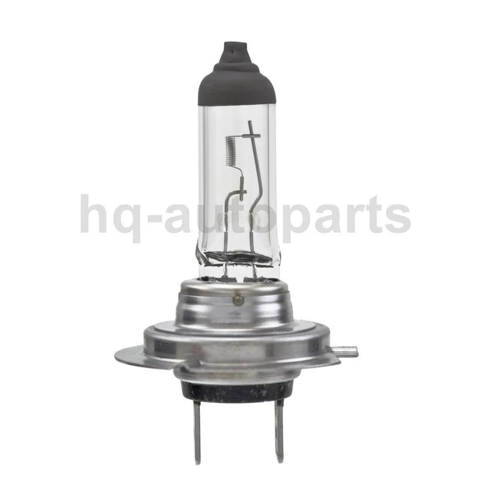 Bombilla antiniebla para Audi A4 Quattro 2001 2000 1999 1998 Foto 3 de 4