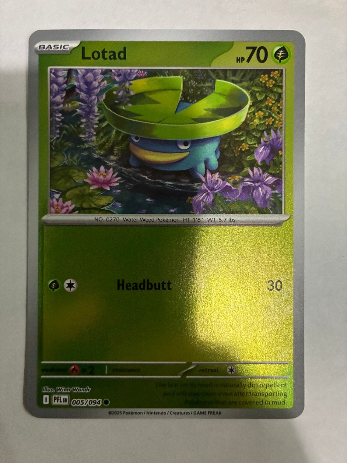 Lotad Common ME02: Phantasmal Flames 005/094 NM
