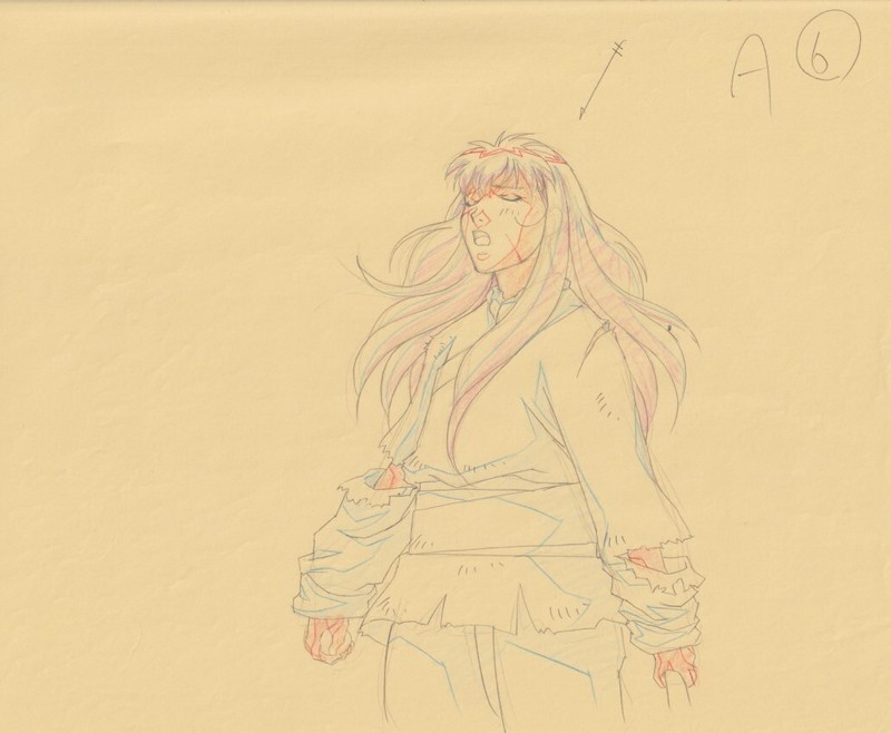The Twelve Kingdoms Juuni Kokki Genga Douga Original Sketches Pierrot - Youko