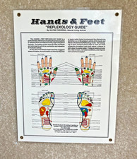 Reflexology Hands Feet Chart, Poster laminated 8 x 11 with eyelets