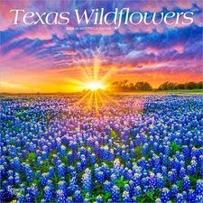 Texas Wildflowers | 2026 12x24" (Hanging) Square Wall Calendar | Plastic-Free