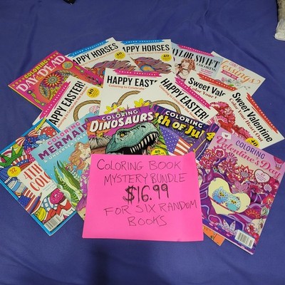 MYSTERY BOX  Lot Of 6 2025 Adult Coloring Books ~ Read Description ~ Magazines