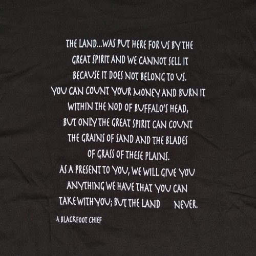Gildan Ultra Cotton Native American Indigenous Rights Graphic Tee Lrg Blackfoot - Picture 5 of 6