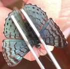 Foto 2 di 4