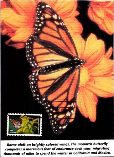 Dr Jim Stamps Maximum Card Butterfly Protect Pollinators Forever Fdc