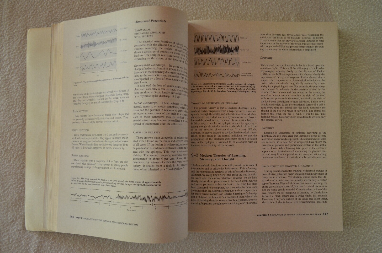 Picture 4 of 9
