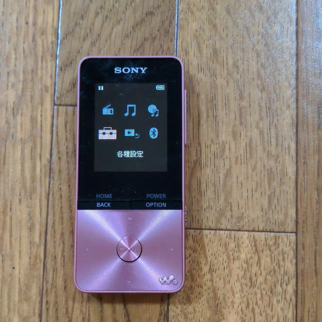 Sony Walkman Portable Audio Player NW-S313 Series 4GB PINK